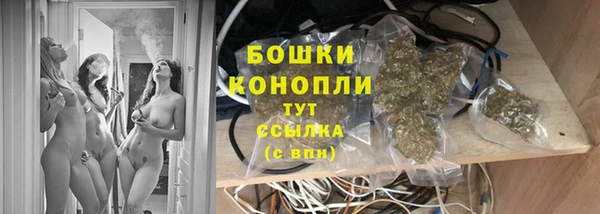 тгк Богородицк