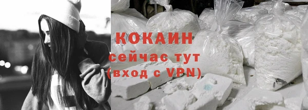 мдпв Богданович