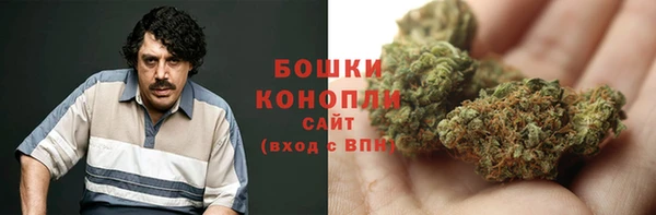 мдпв Богданович