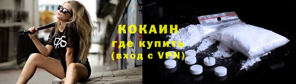 тгк Богородицк