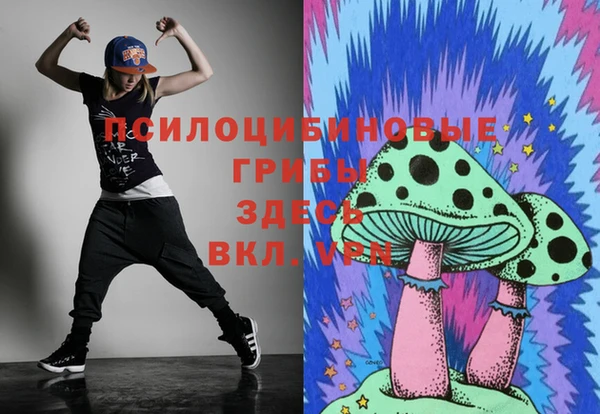 стаф Бугульма