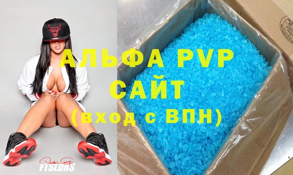 мдпв Богданович