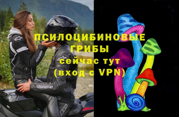 тгк Богородицк
