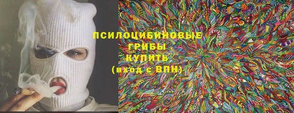 тгк Богородицк