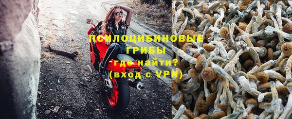 мдпв Богданович