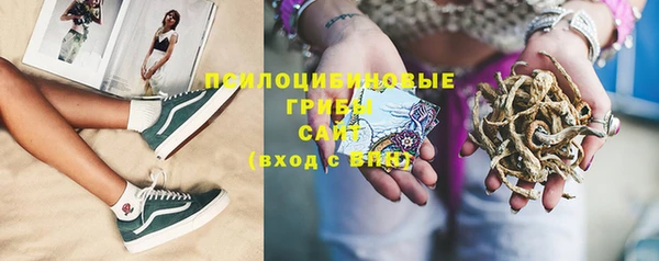 тгк Богородицк