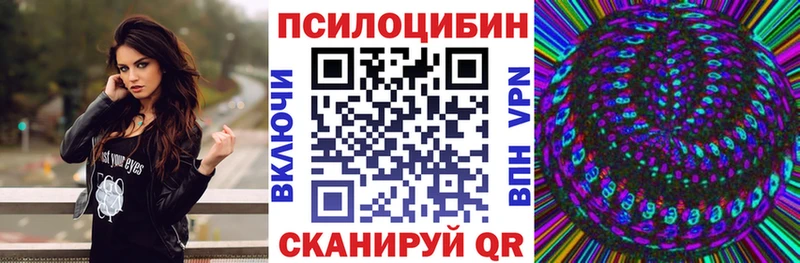 Псилоцибиновые грибы Psilocybe  Ярославль 